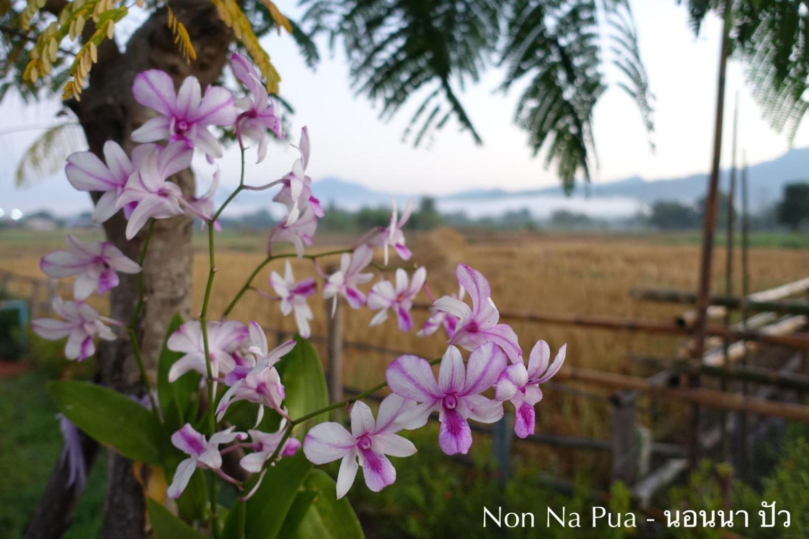 Non Na Pua - นอนนา ปัว Hotel Exterior foto